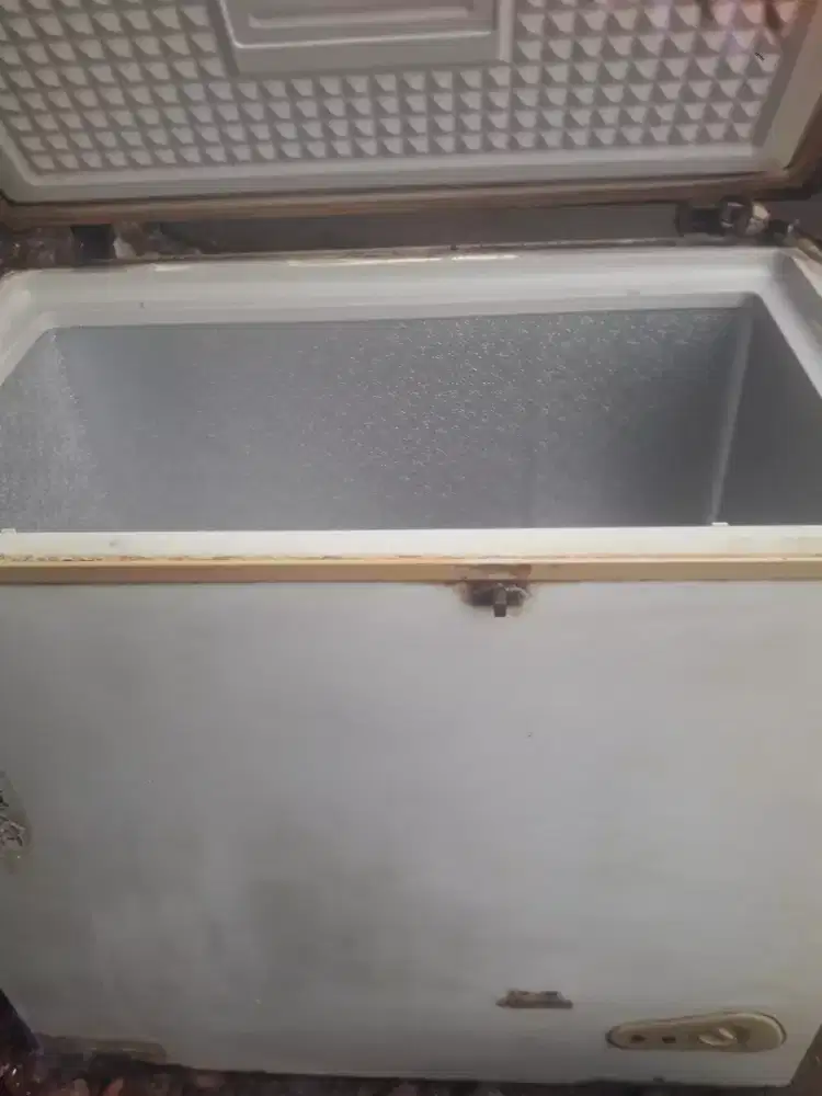 Frezer box kapasitas 220L
