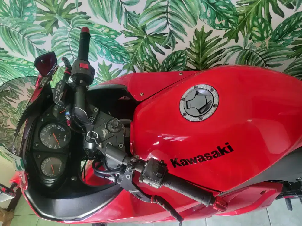 Kawasi ninja karbu 2008