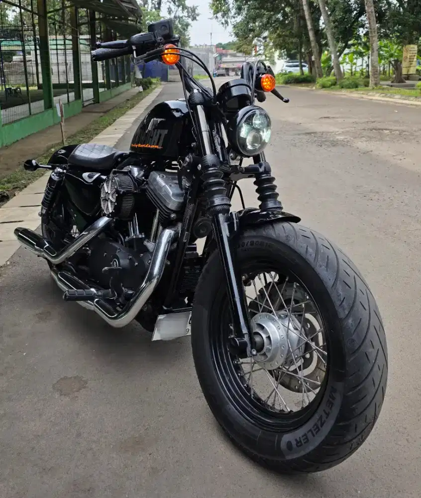 2013 Harley Davidson Sportster 48