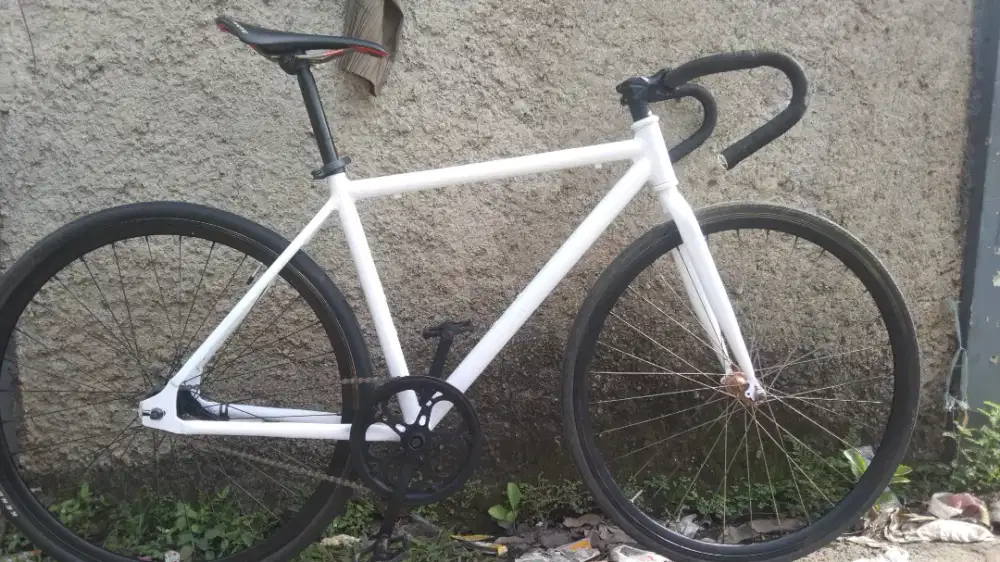 Fullbike Fixie Alloy 700 size 48