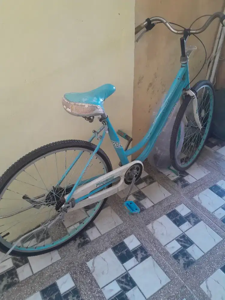 Di jual sepeda jengky phonix tinggal goes aja gaada kendala minat wa