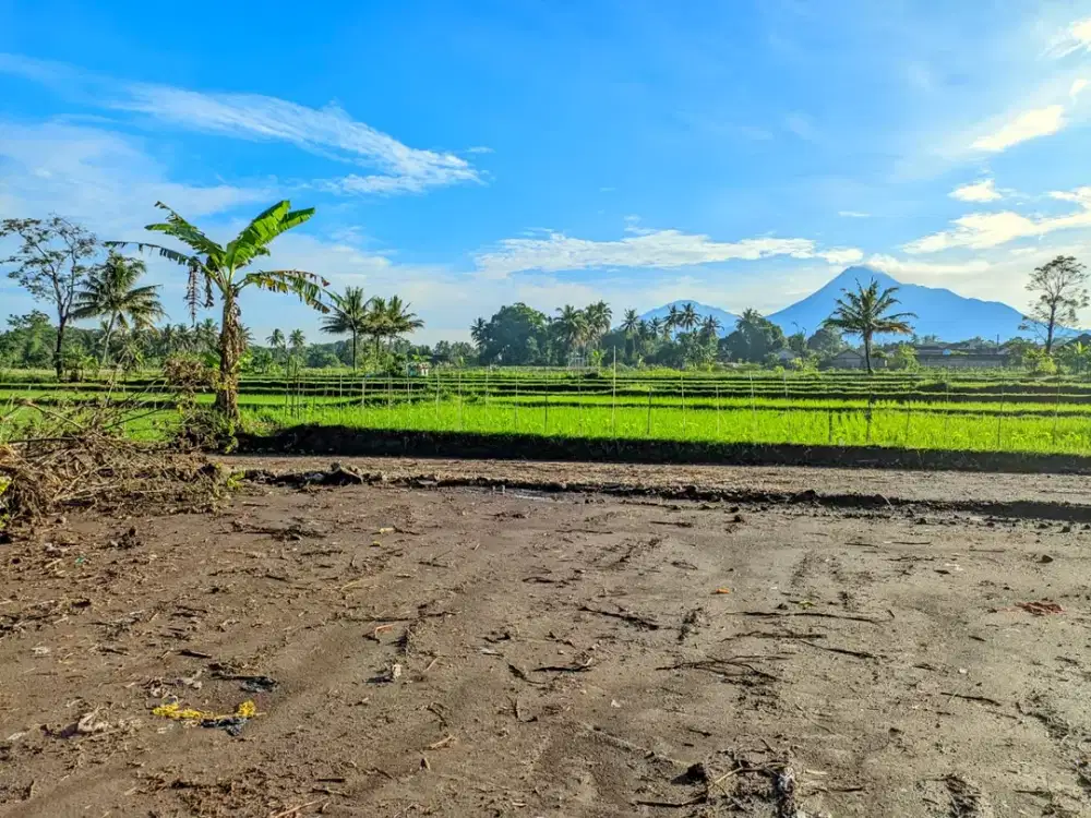 Tanah Siap Bangun Pandowoharjo, Utara Resto Jejamuran