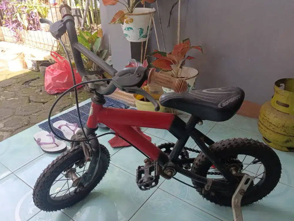 Sepeda Wimcycle cycle anak