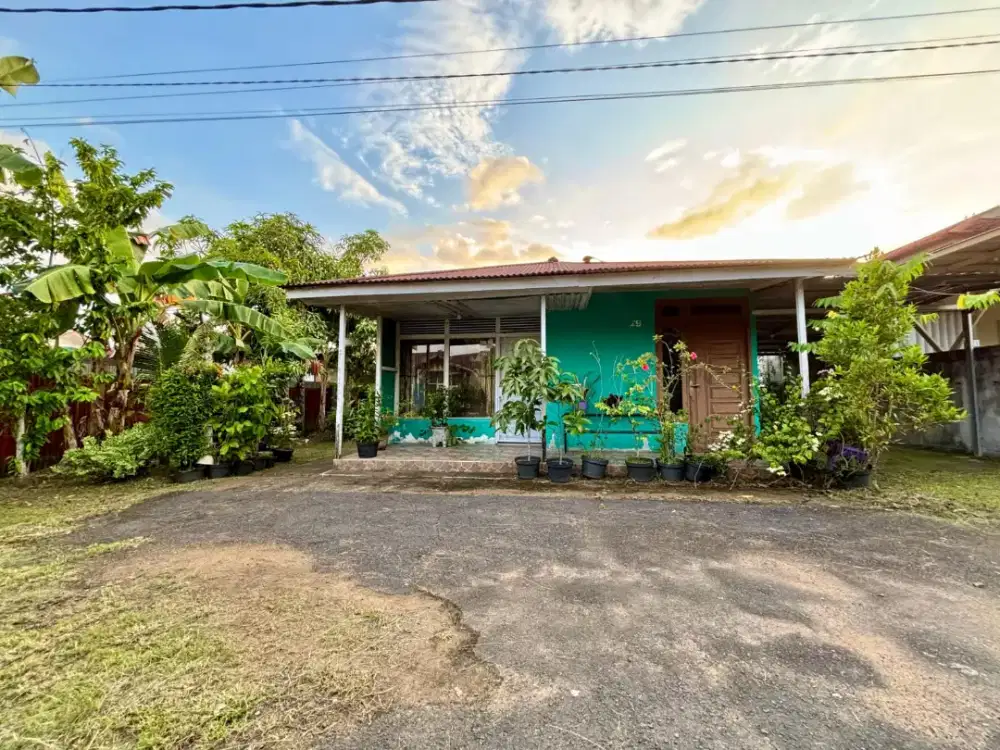 Rumah asri sejuk
