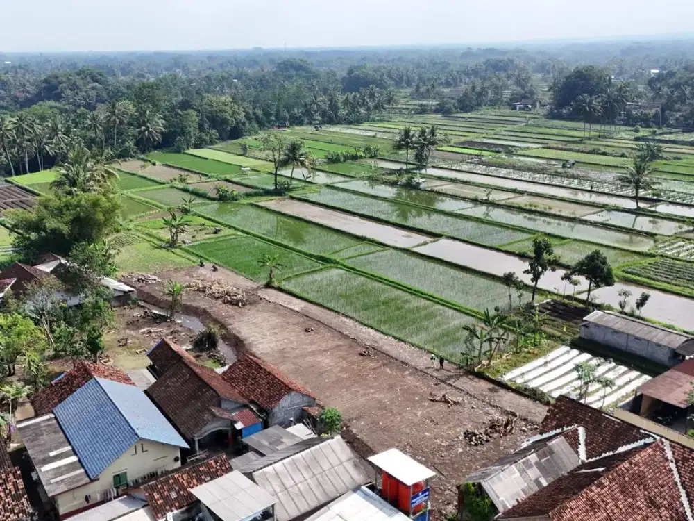 Tanah Pandowoharjo Siap Bangun, View Sawah & Gunung