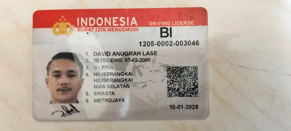 Cari kerja supir pribadi
