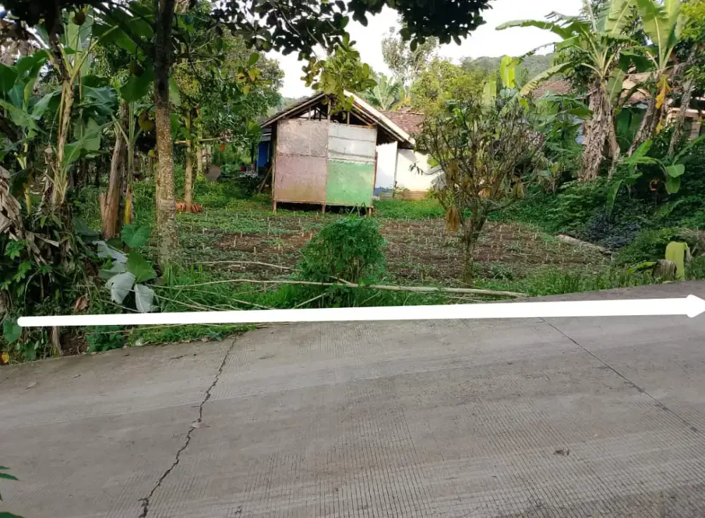 Jual Tanah Pinggir jalan desa akses cor area cimaung