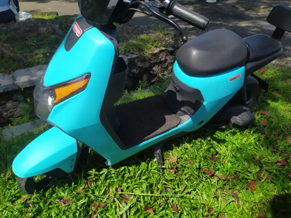Sepedah listrik U-winfly D60