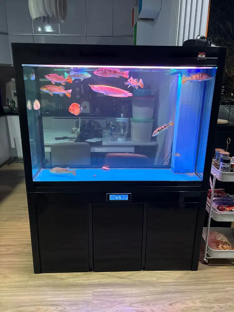 Dijual akuarium boyu, 120x50x70