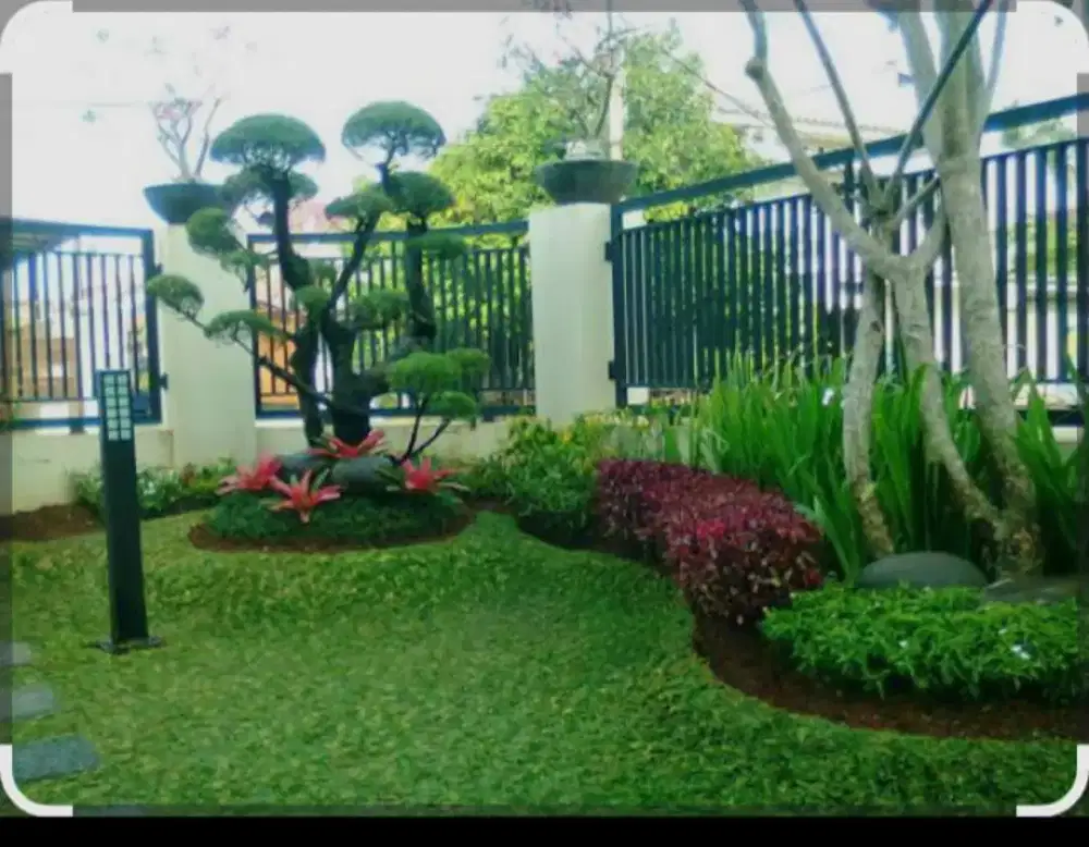 perawatan taman/pasang taman perumahan atau office