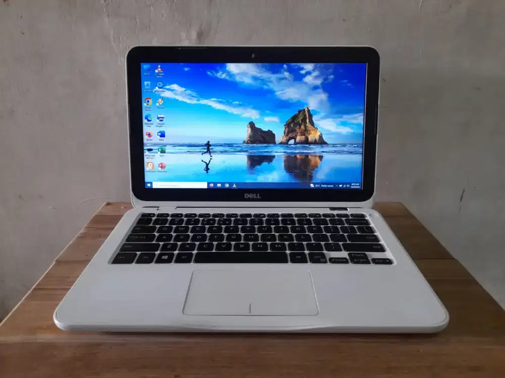 Laptop Netbook Dell