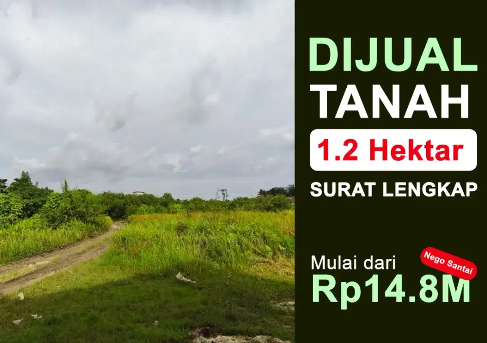 DIJUAL Tanah SHM 1,2 Hektar (12000m²) SURAT LENGKAP