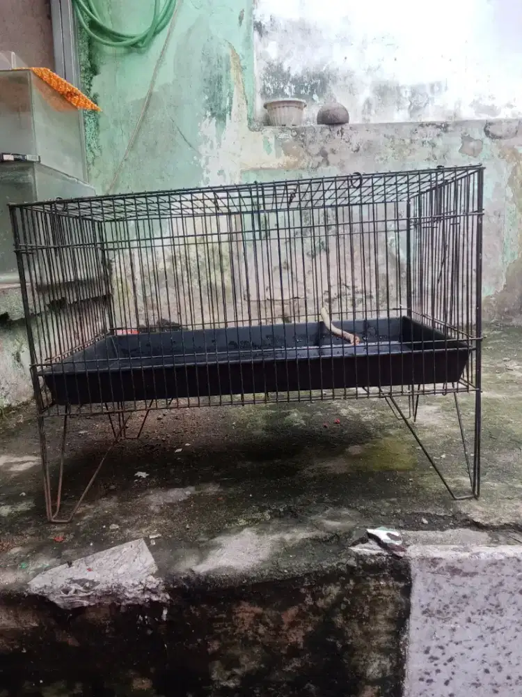 Keramba mandian burung