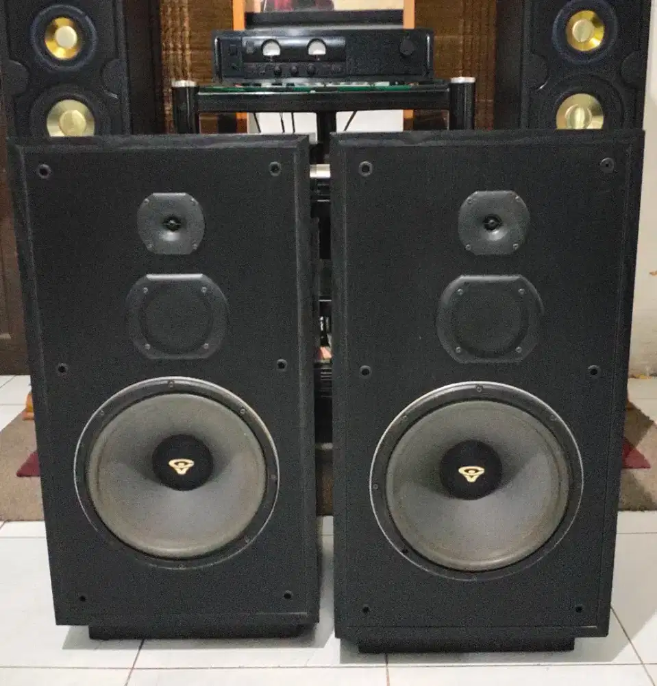 Speaker Cerwin Vega VS-120 (12 / made in USA)