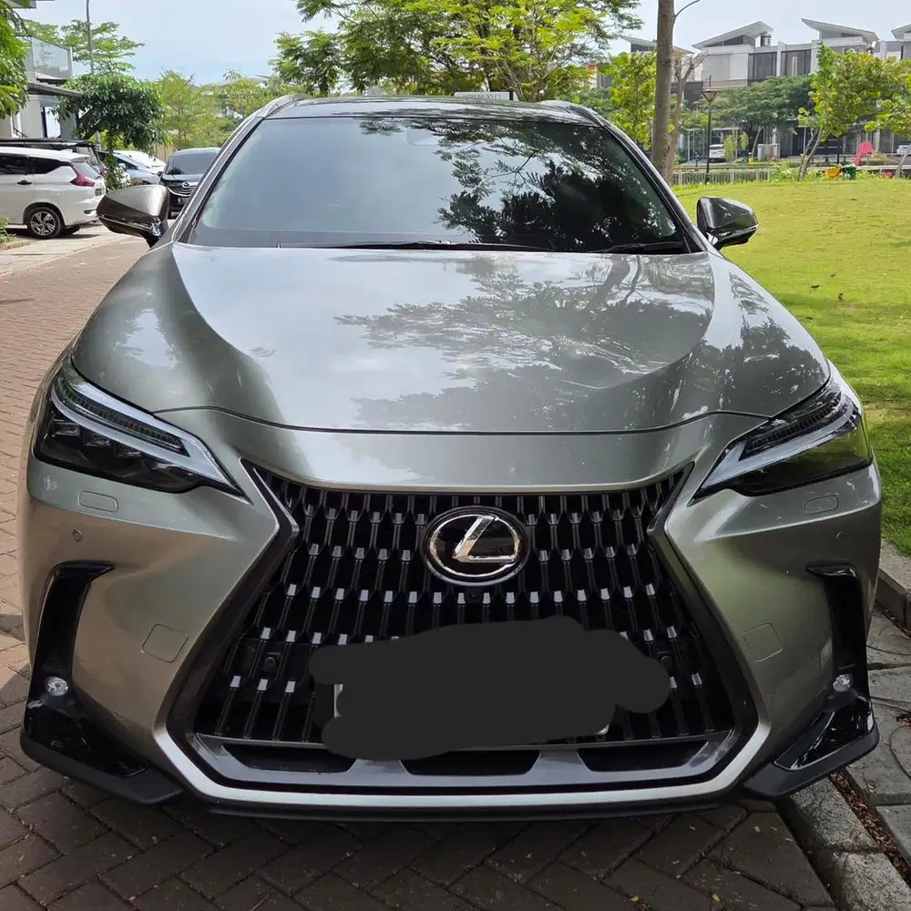 JUAL SANTAI LEXUS Nx350h luxury 2024