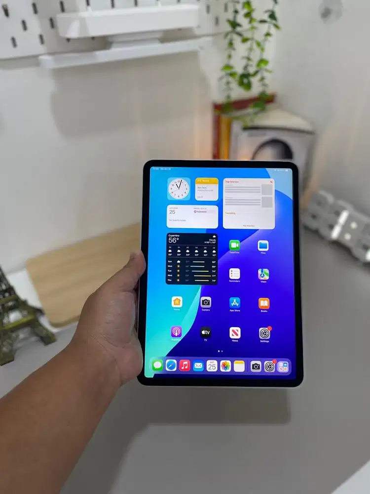 IPAD PRO 2018 11inch 512GB MULUS