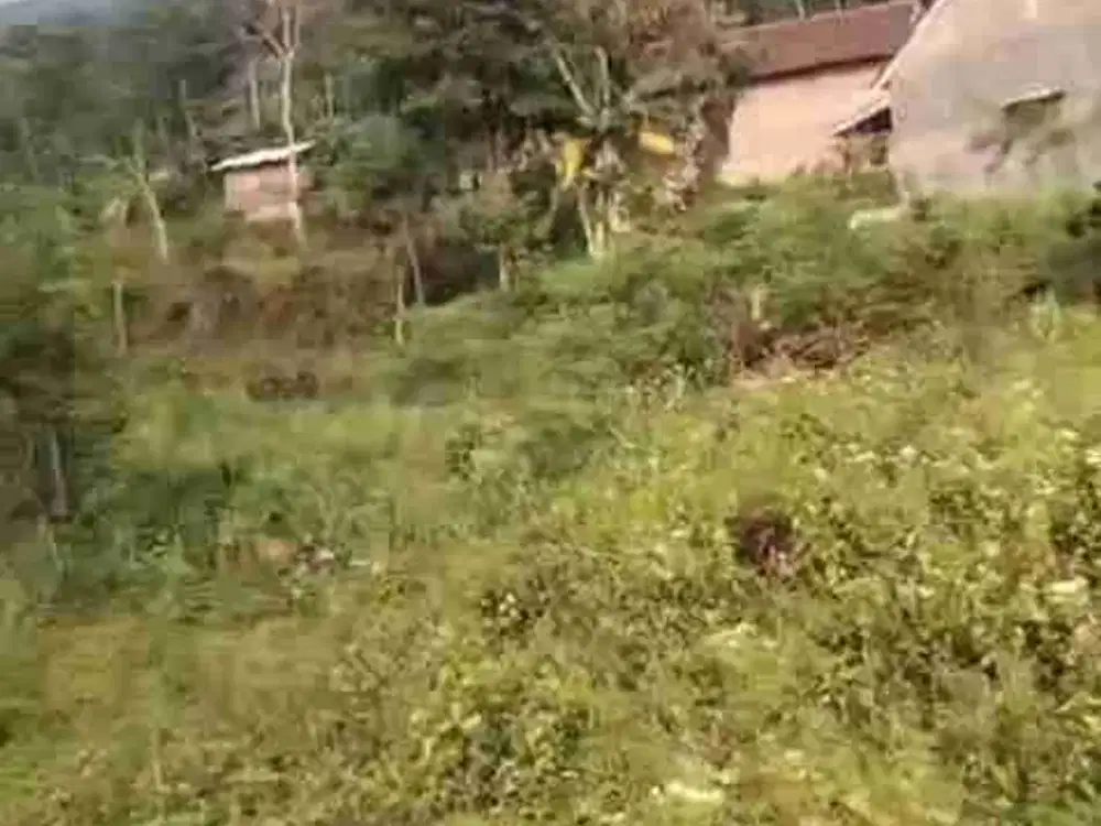 DI JUAL PEKARANGAN KAWASAN VILLA WISATA TRAWAS VIEW GUNUNG