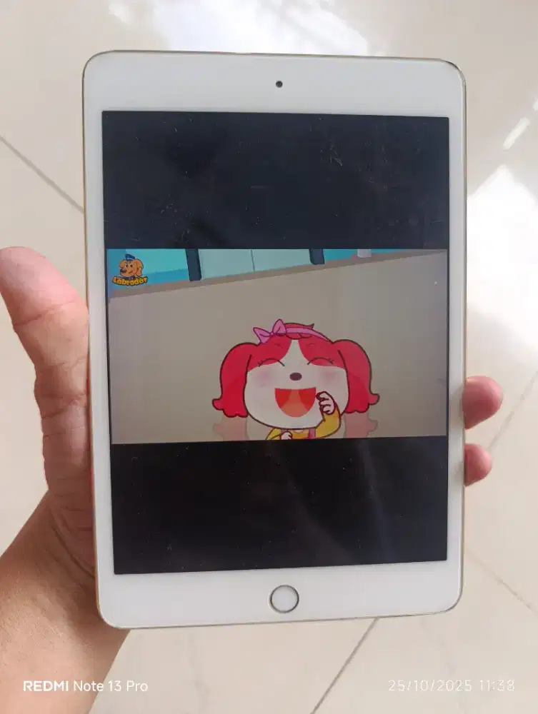 Ipad mini 4 128gb wifi only
