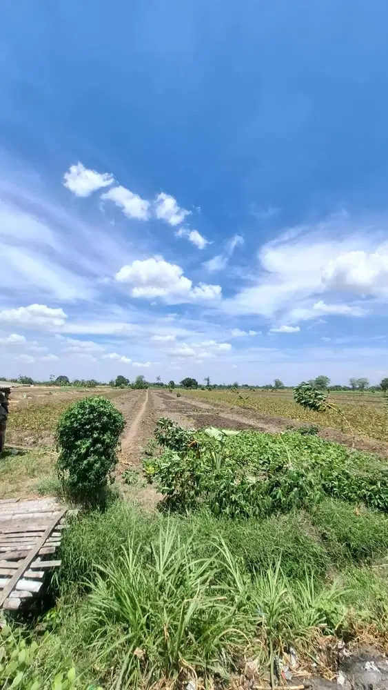 Tanah Slempit Kedamean Gresik Jawa Timur