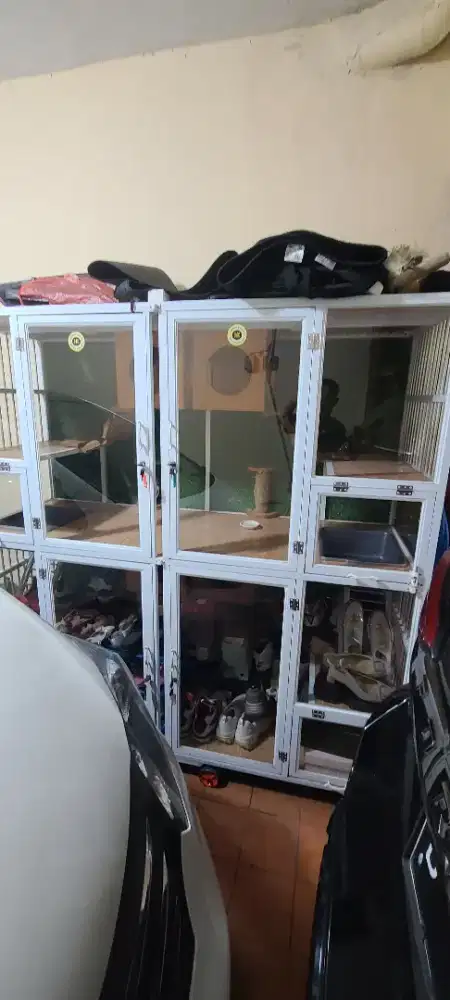 Kandang kucing atau anjing