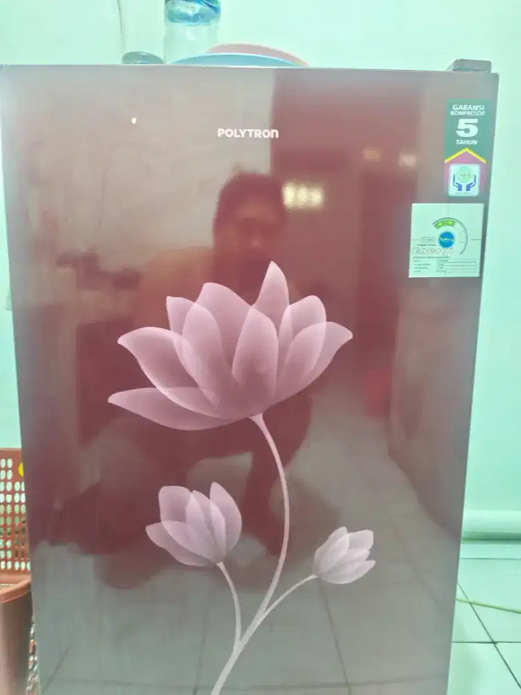 Kulkas polytron 1 pintu