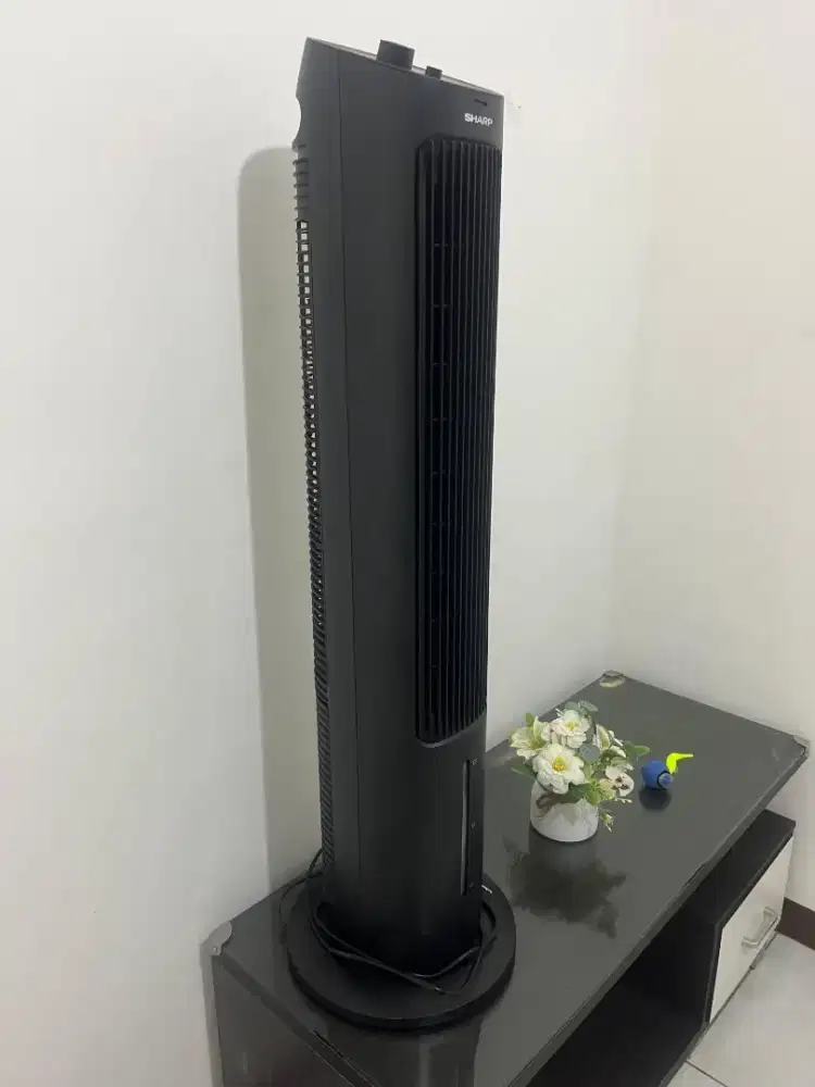 Sharp Air Cooler