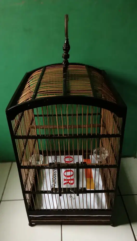 Sangkar jati mulus