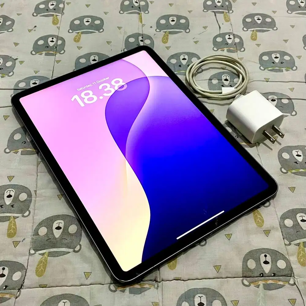iPad Pro 11 Inch 64Gb Wifi Mulus