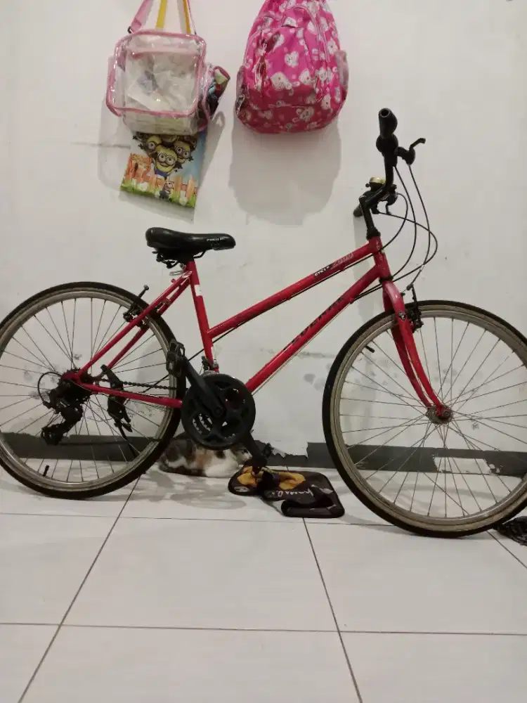 Federal lady 2000 cycle