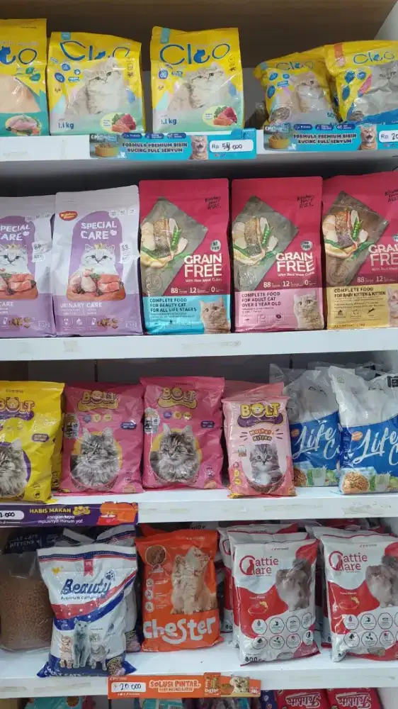 Admin Petshop & Groomer Pegadungan Kalideres