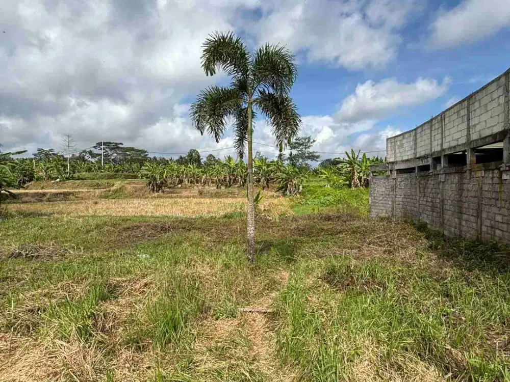 di jual tanah murah dekat ubud kota luas 4 are