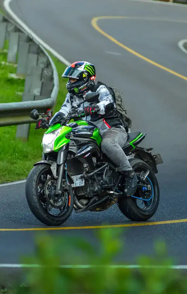 Kawasaki Er6n Naked Bike 2012