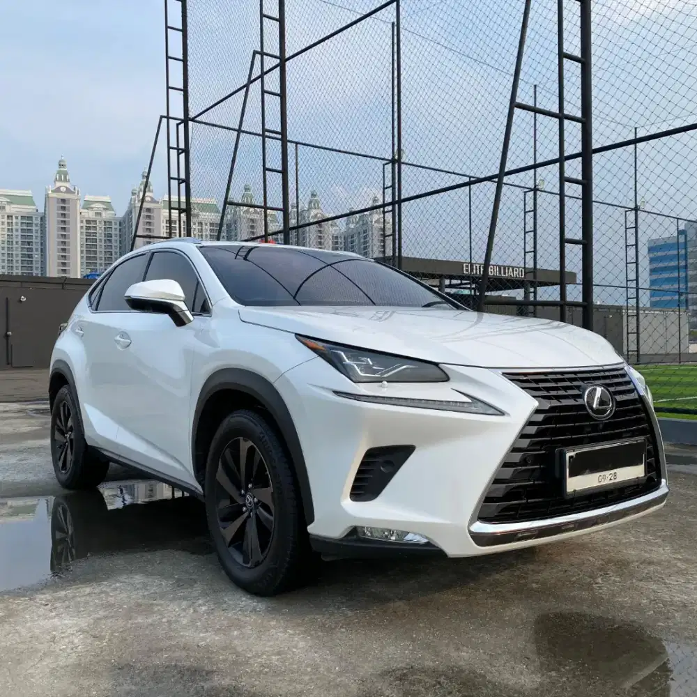 Lexus NX300 Luxury Tahun 2018