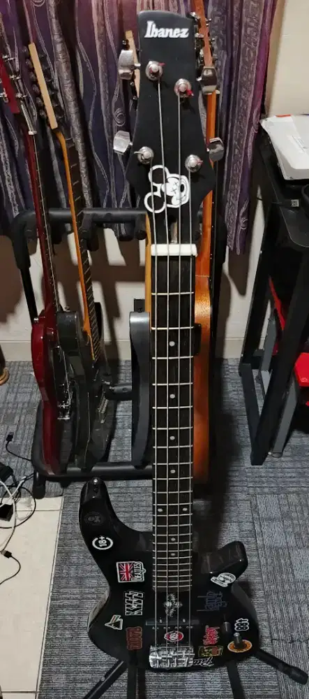 Bass Elektrik Custom