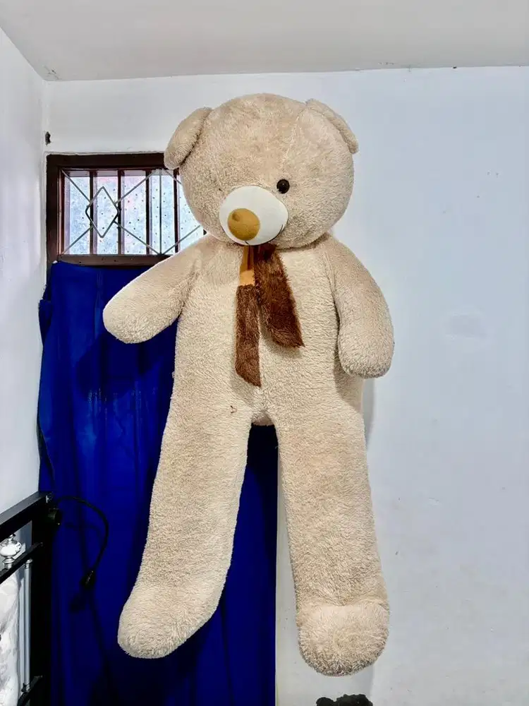 Boneka Beruang Jumbo Teddy Bear Bekas