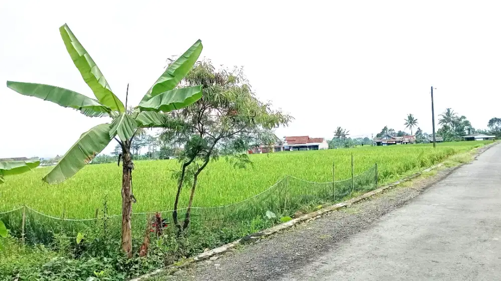 Tanah Strategis 3.080 m2  Di Sumbang Purwokerto