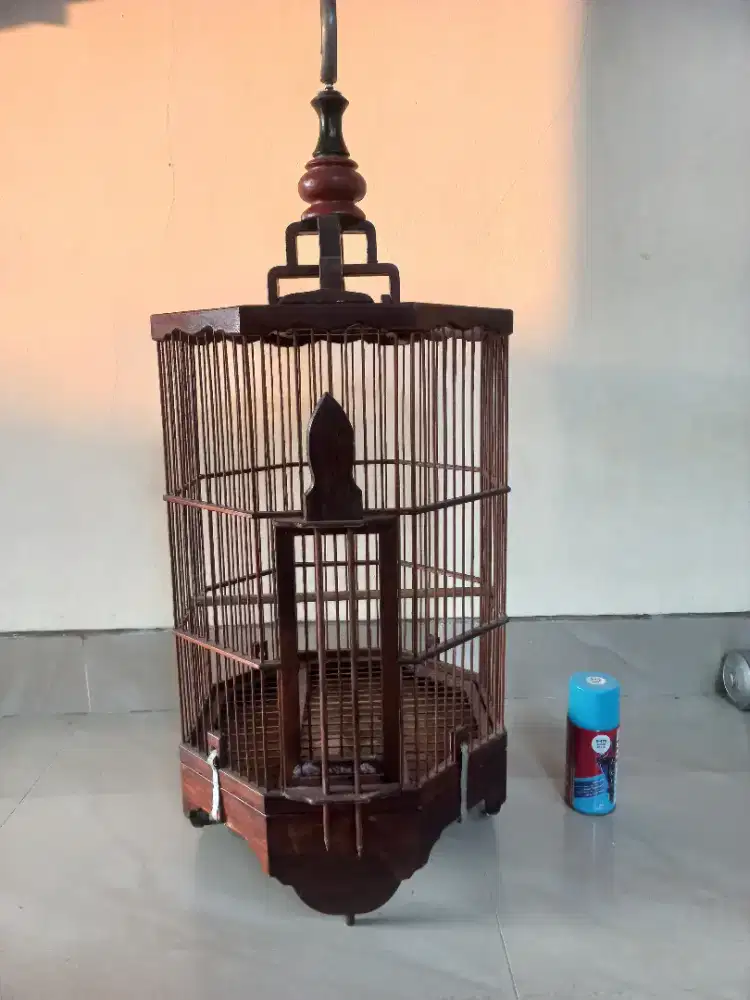 Sangkar Anis atau burung lainnya