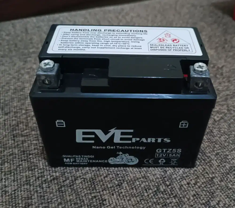 Aki Motor Eve GTZ5S