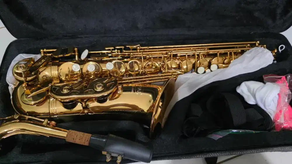 Alto Saxophone, Gold Lacquer, Royale.