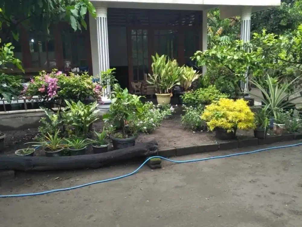 Jual Rumah Luas di Jalan Solo-Jogja 1 Menit Pasar Taji Klaten