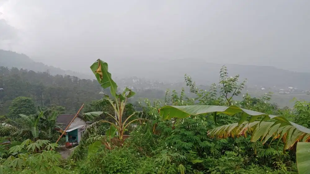 Tanah Dijual Dekat Pemandian Air Panas Pacet Mojokerto