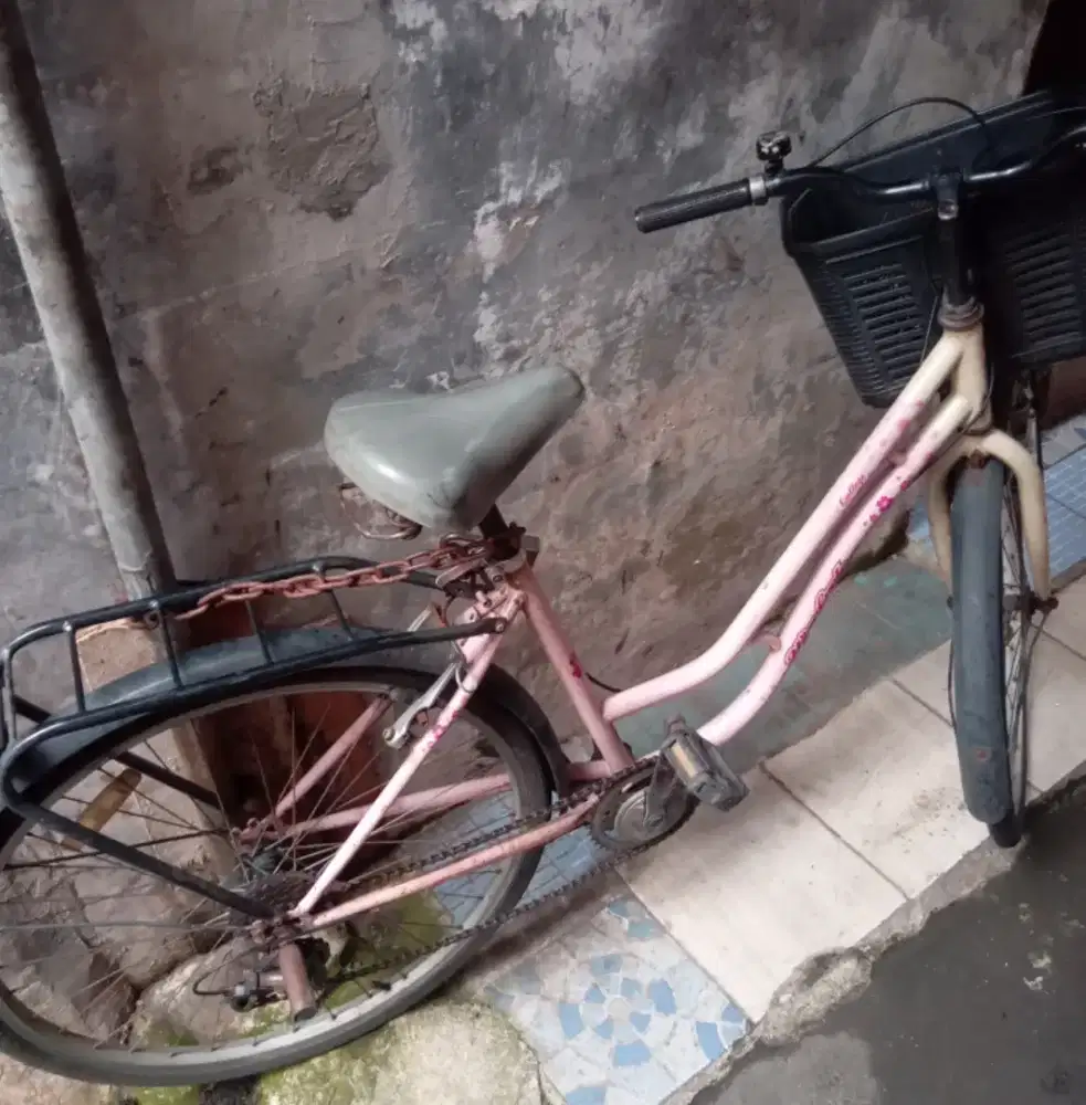 Sepeda Mini masih normal