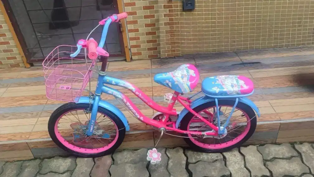 Sepeda Anak merk Trex