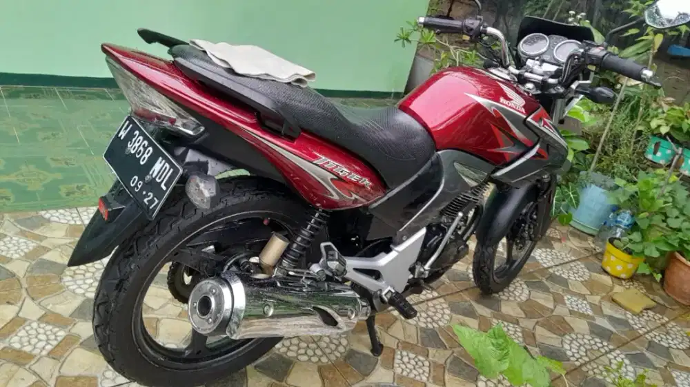 Tiger revo 2013