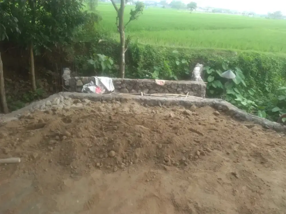 Jual Tanah Produktif Lokasi Bonagung Tasikmadu Karanganyar Jawa Tengah