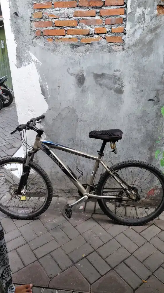 Sepeda Gunung Reebook