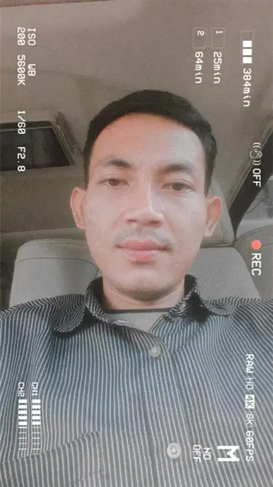 Supir pribadi, direksi