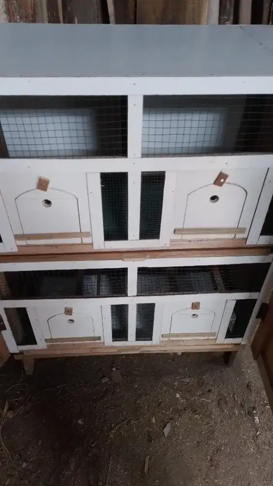 Kandang burung 40x40 persegi