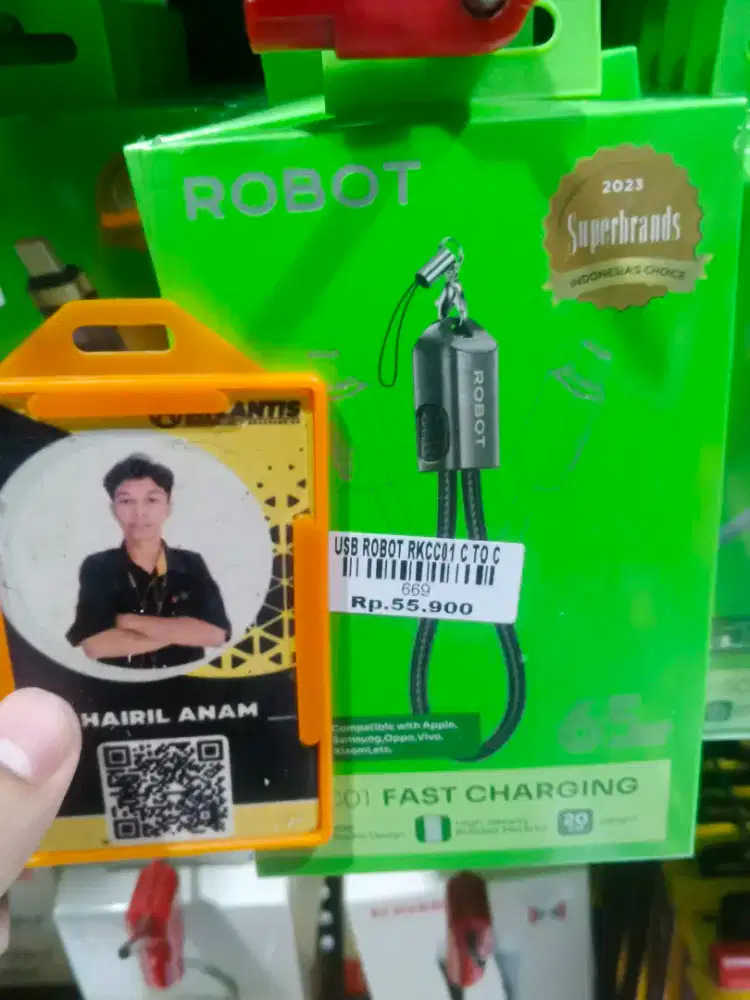 USB ROBOT RKCC01 C TO C 65w