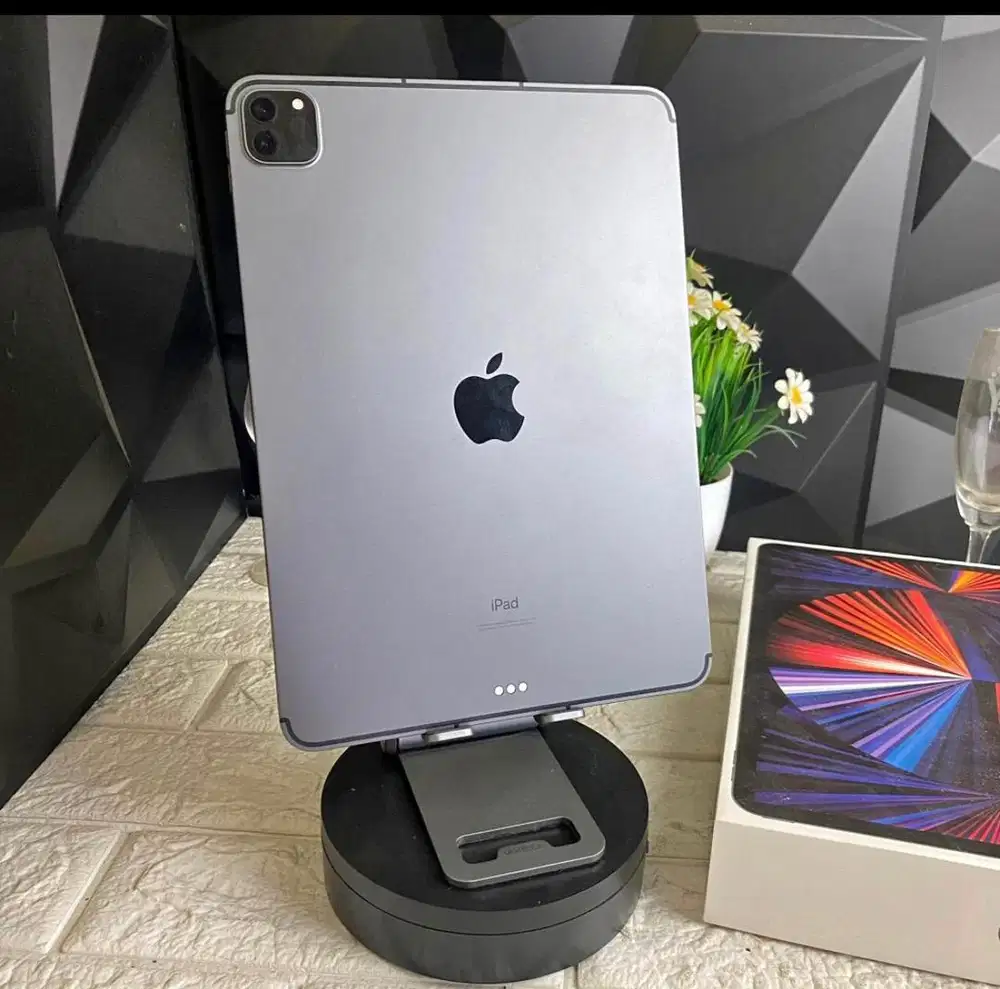 iPad Pro 11 inch 256GB Celluler Wifi Mulus Fullset No Minus